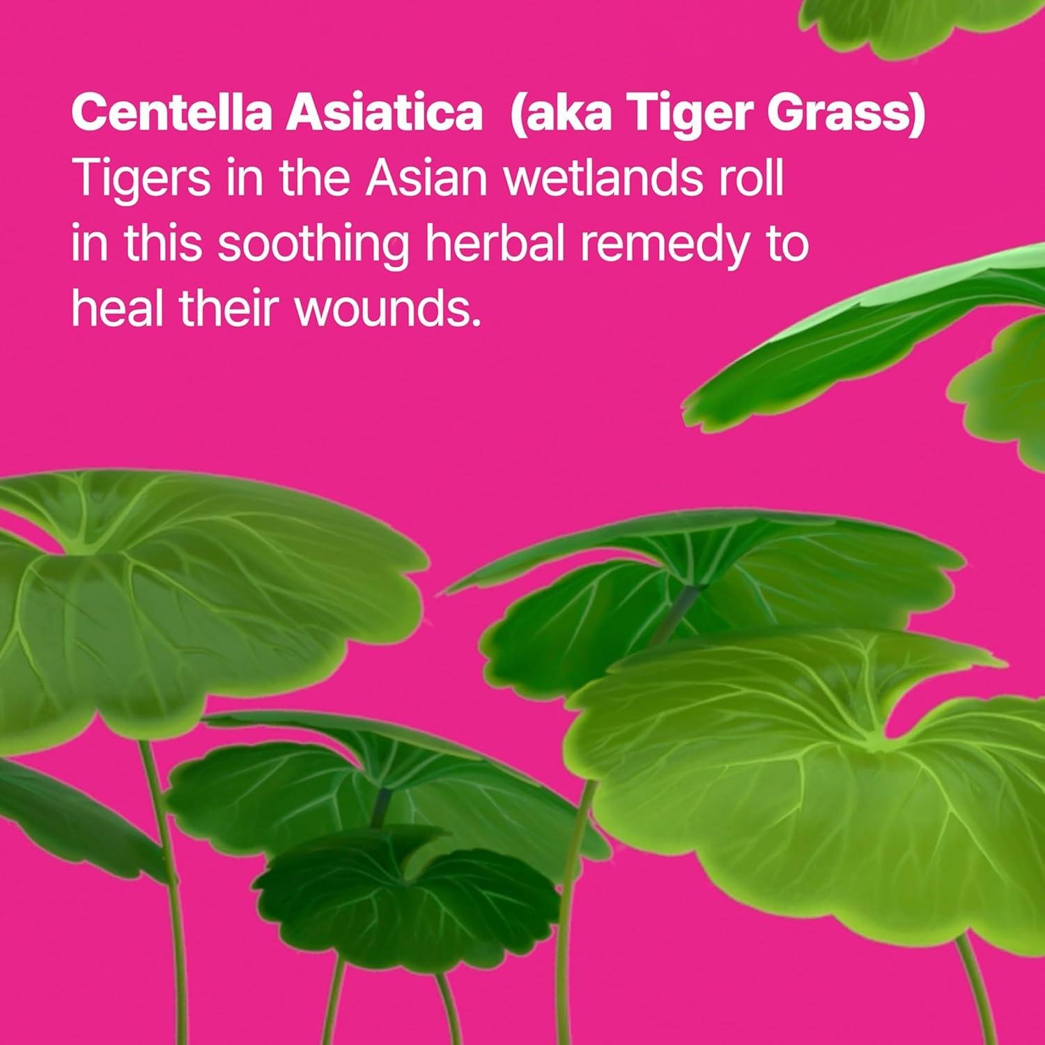 Our Dance with the Tiger: Dr.Jart's Camo Drops Unveiled