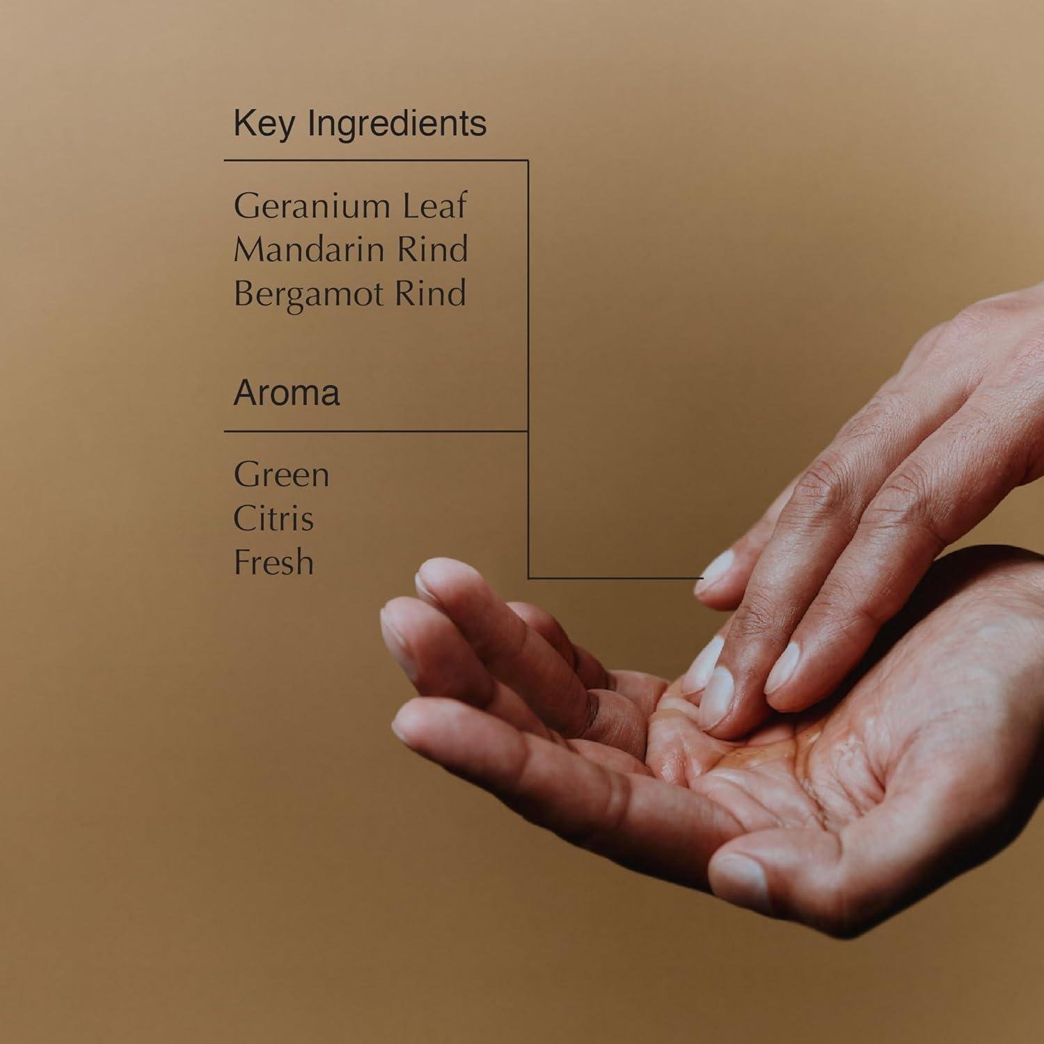 Nuestra Experiencia con el Limpiador Refrescante de Aesop