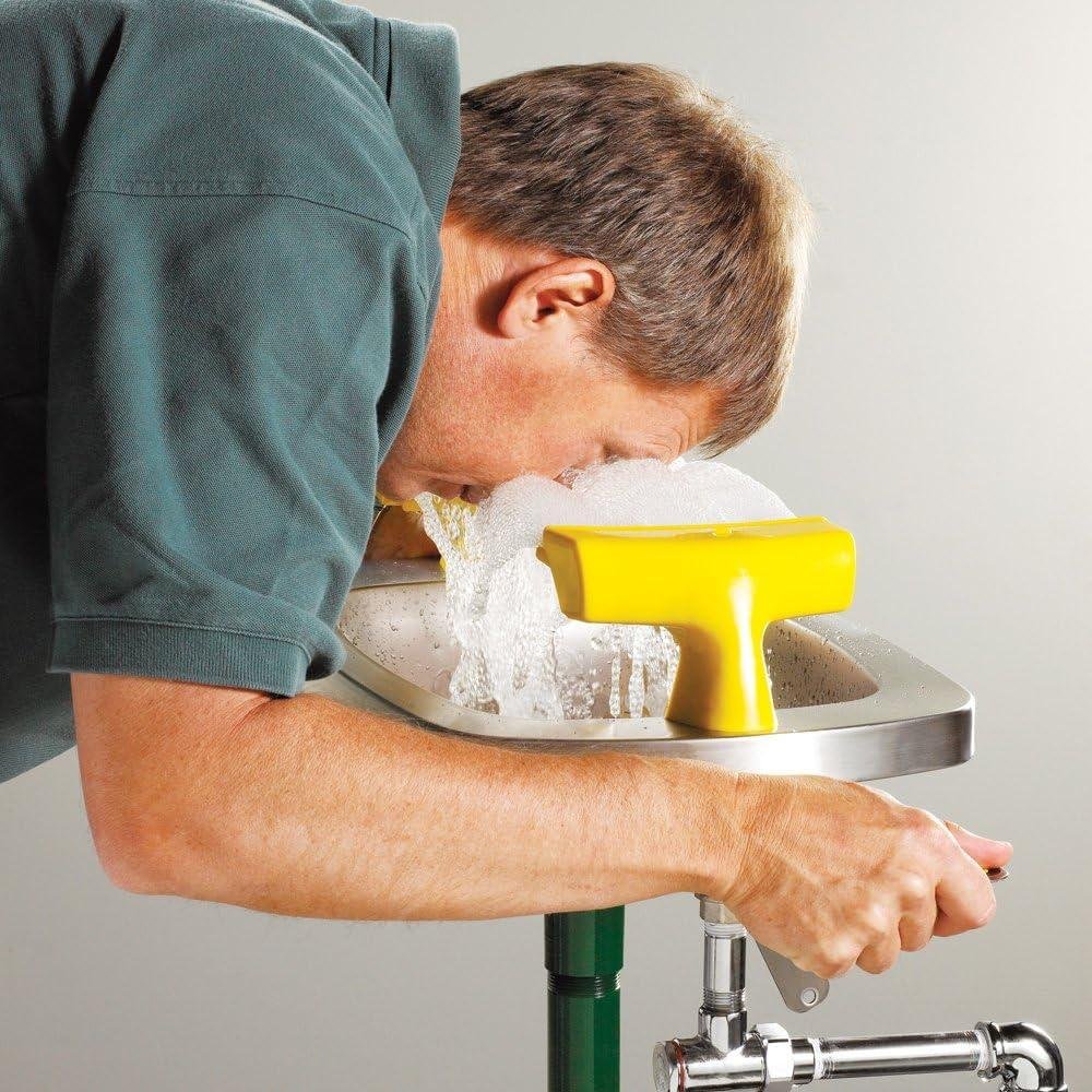 Reviewing the Speakman SE-400: Safety at your Fingertips