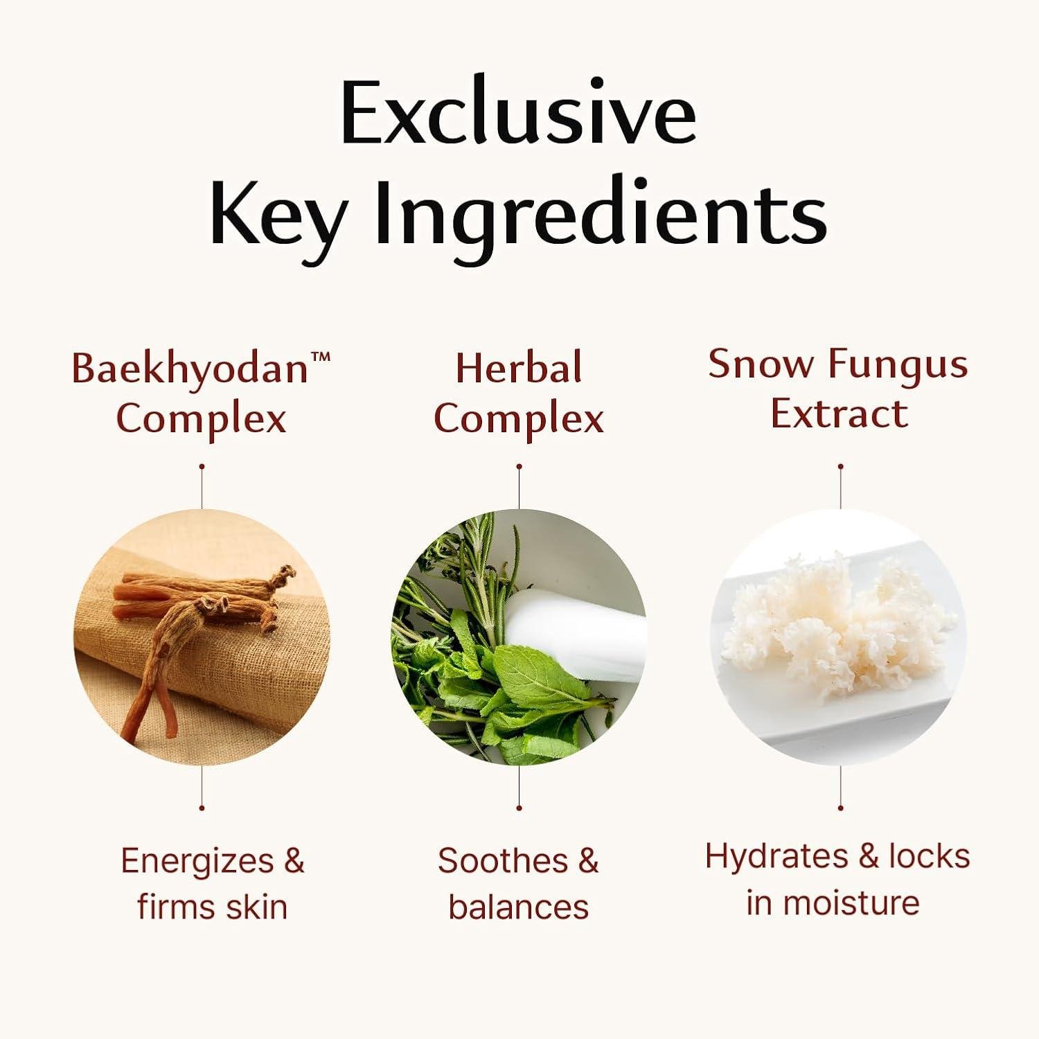 Sooryehan Fermented eye Cream: Worth It for Aging Skin?