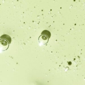 OSEA Hyaluronic Sea Serum Review: Worth It for Dry Skin?